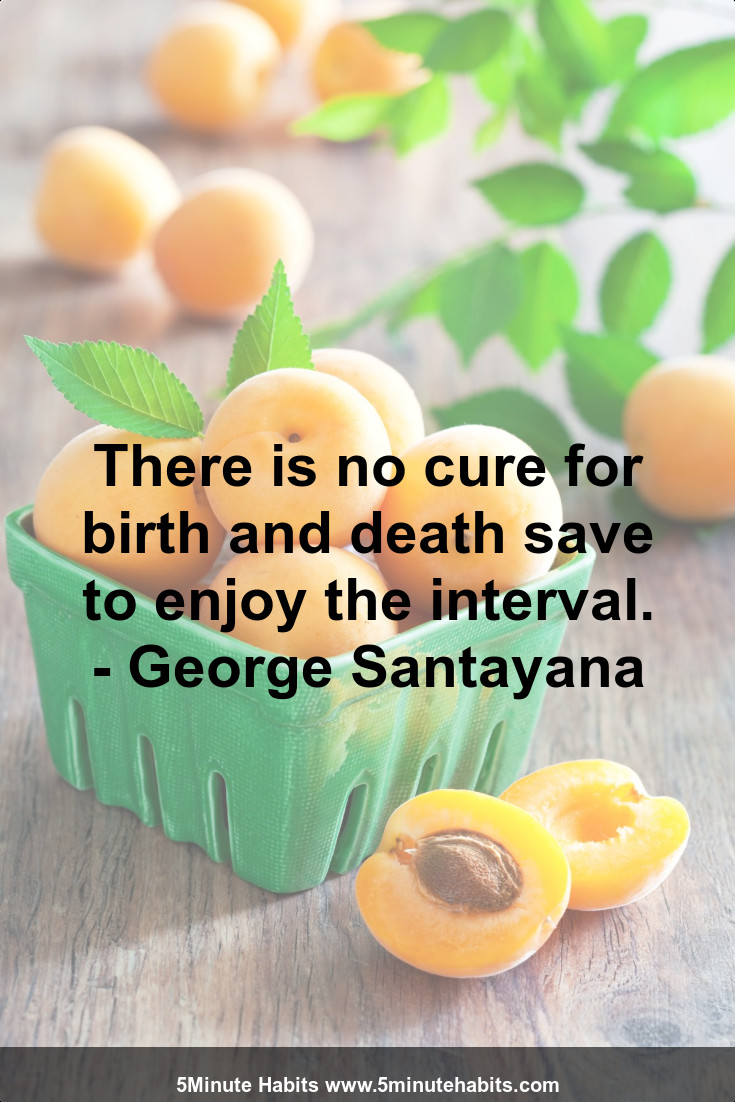 There is no cure for birth and death save to enjoy the interval. - George Santayana